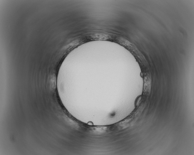 X0000111590474200908131345