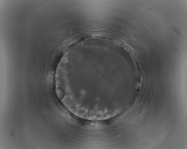 X0000111590475200908131345