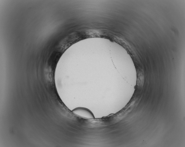X0000111590477200908131345