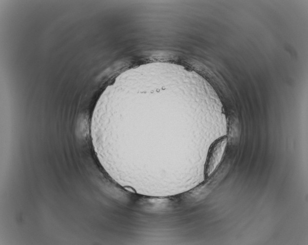 X0000111590478200908131345