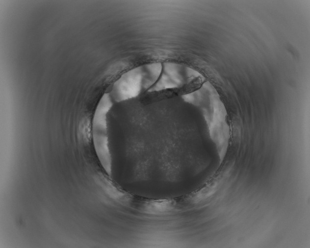 X0000111590479200908131345
