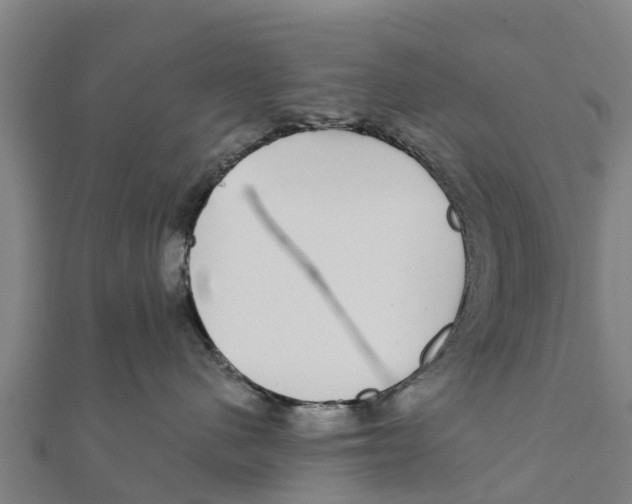 X0000111590480200908131345