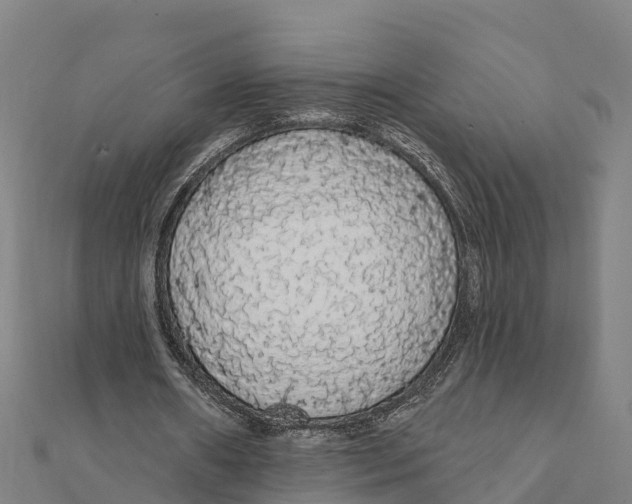 X0000111590482200908131344