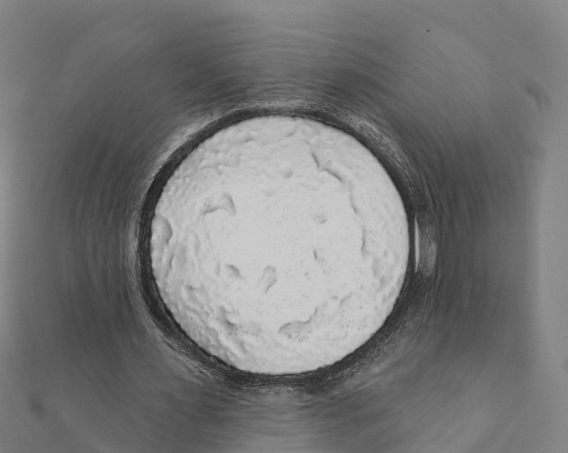 X0000111590483200908131344