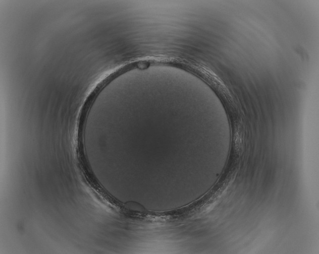 X0000111590484200908131344