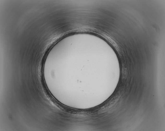 X0000111590485200908131344