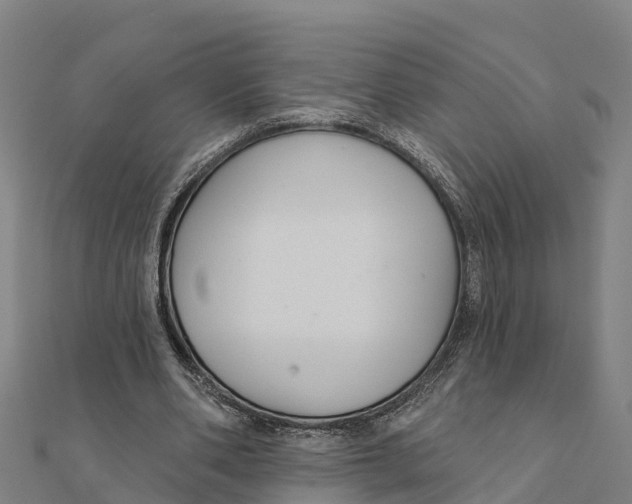 X0000111590486200908131344