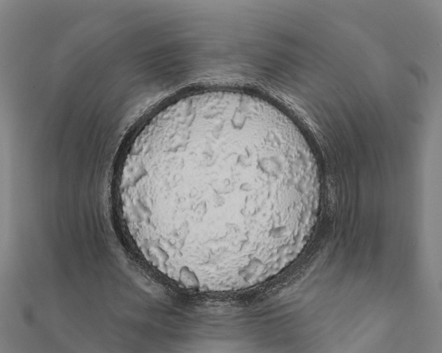 X0000111590487200908131344