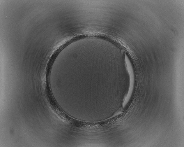 X0000111590488200908131344