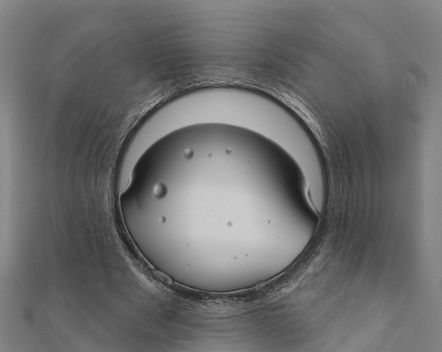 X0000111590489200908131344