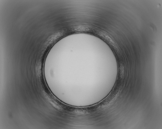 X0000111590490200908131344