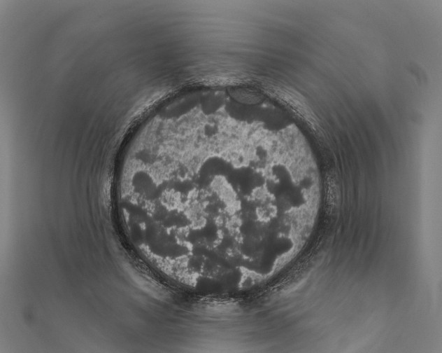 X0000111590491200908131344