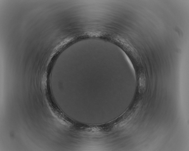 X0000111590492200908131344