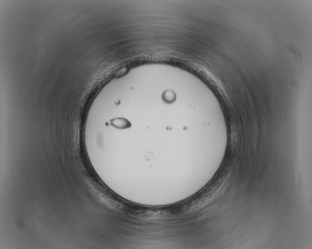X0000111590493200908131344
