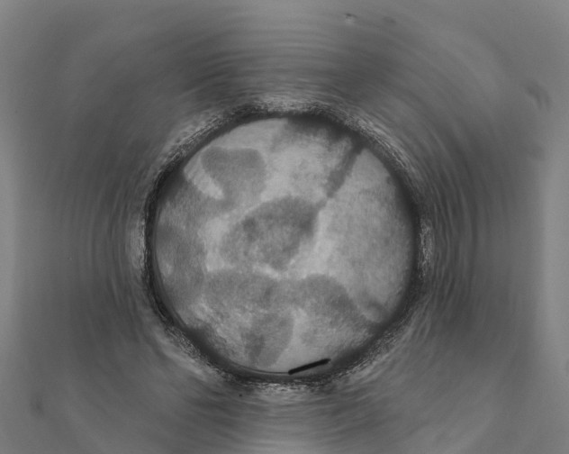 X0000111590494200908131344