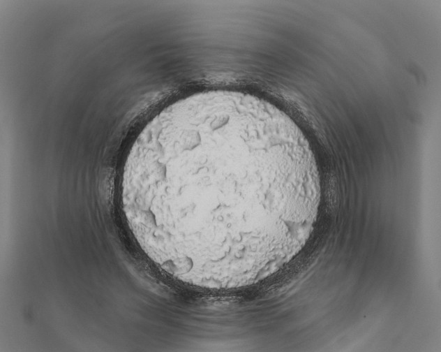X0000111590495200908131344