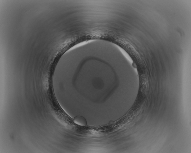 X0000111590496200908131344