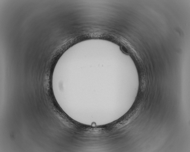 X0000111590497200908131344