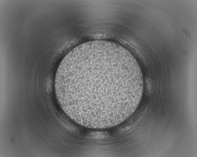 X0000111590499200908131344