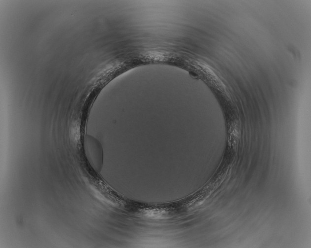 X0000111590500200908131344