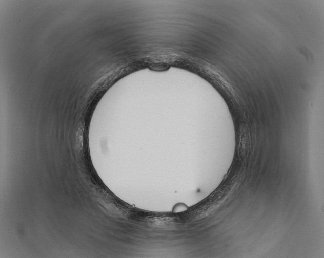 X0000111590501200908131343