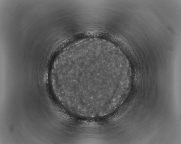 X0000111590502200908131343