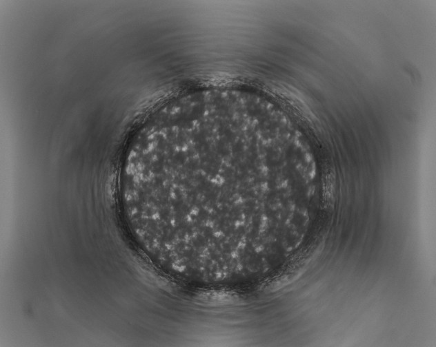 X0000111590503200908131343