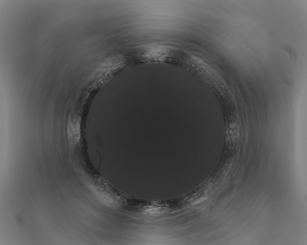 X0000111590504200908131343