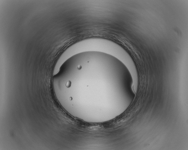 X0000111590505200908131343