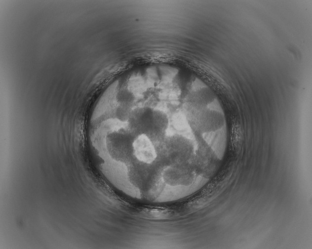 X0000111590506200908131343