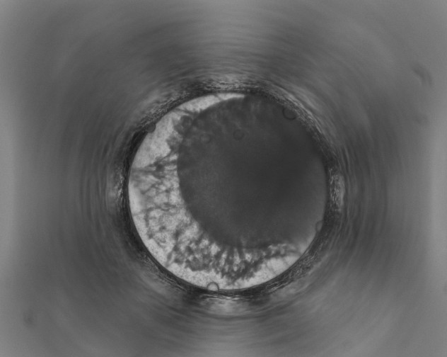 X0000111590507200908131343