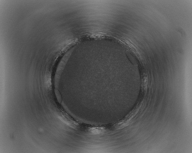 X0000111590508200908131343