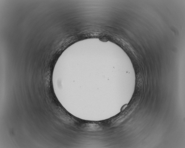 X0000111590509200908131343