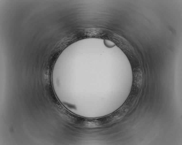 X0000111590510200908131343