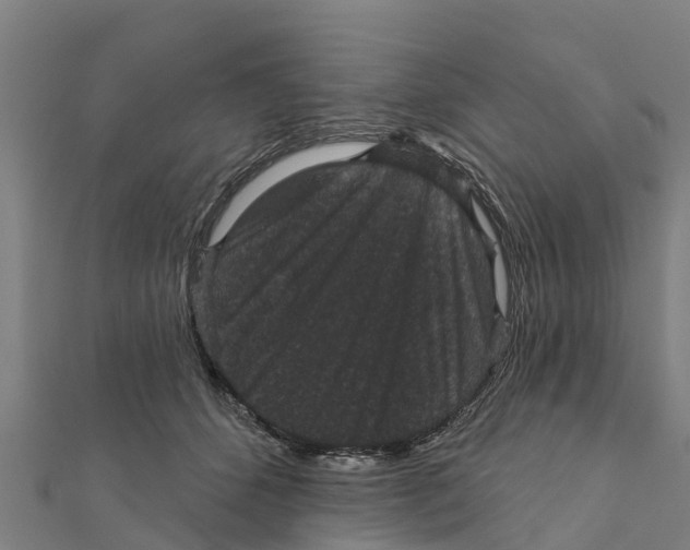X0000111590512200908131343