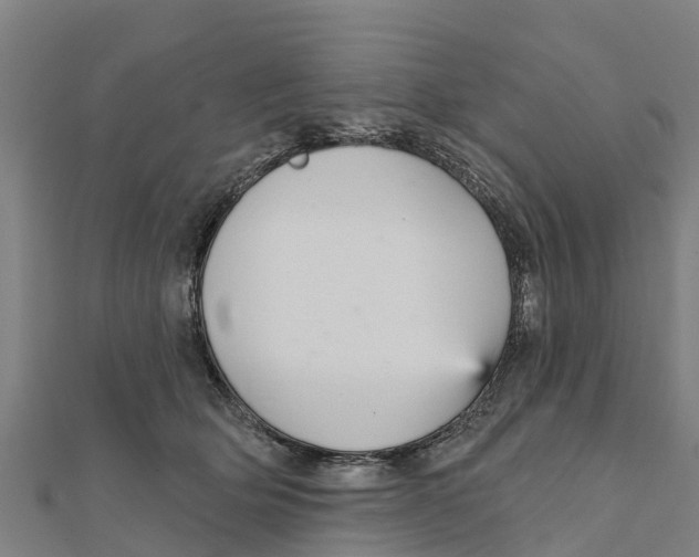X0000111590514200908131343