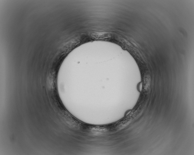 X0000111590515200908131343