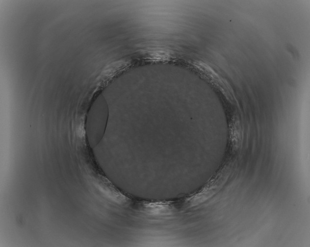 X0000111590516200908131343