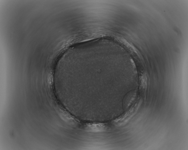 X0000111590517200908131343
