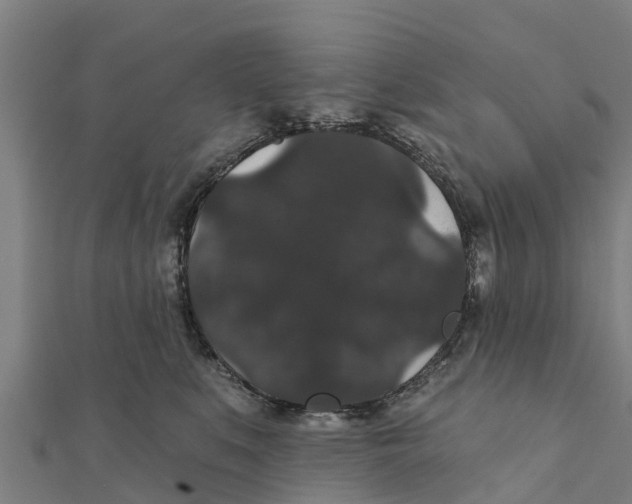 X0000111590519200908131343