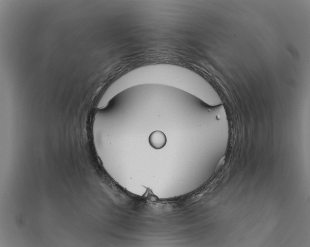 X0000111590520200908131343