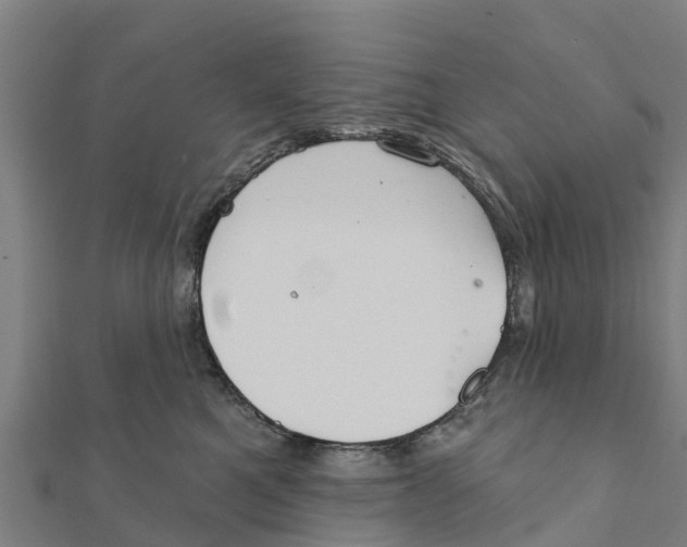 X0000111590521200908131343