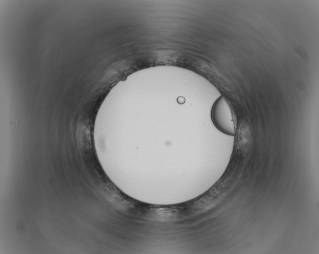 X0000111590522200908131343