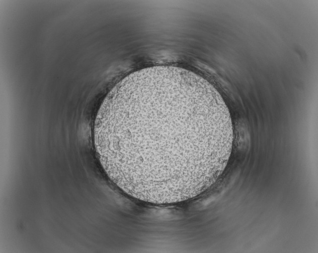 X0000111590523200908131343
