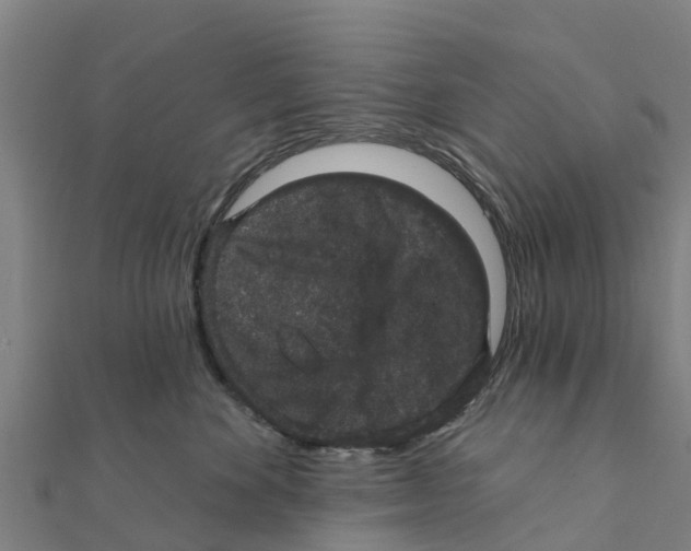 X0000111590524200908131343