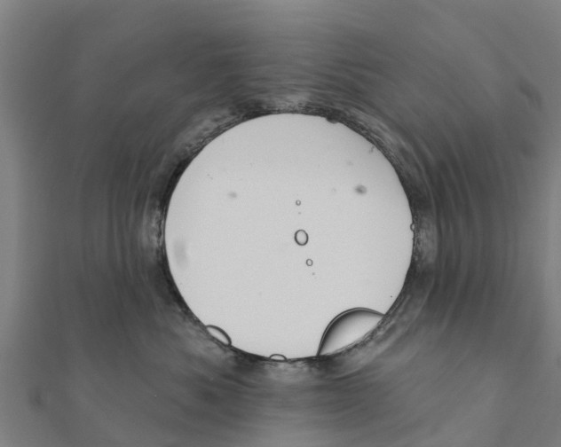 X0000111590525200908131343