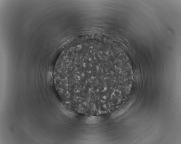 X0000111590527200908131343