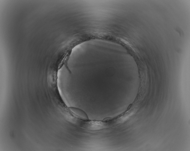 X0000111590528200908131343