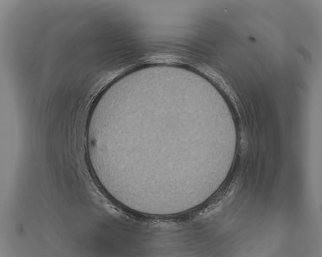 X0000111590529200908131342