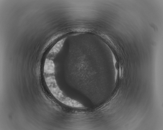 X0000111590531200908131342